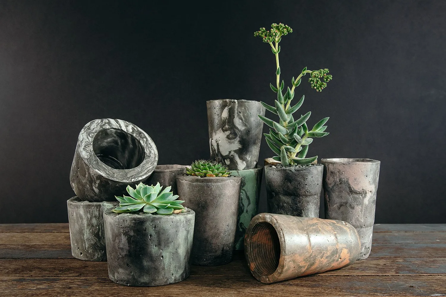 A group of textured planters with varied foliage.