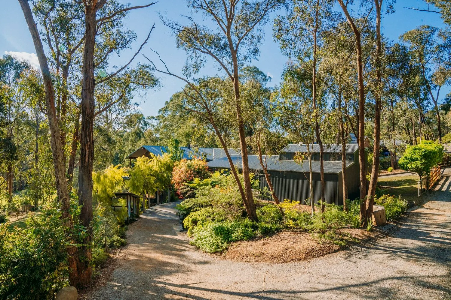 Glazing and timber reflect the garden around the house.