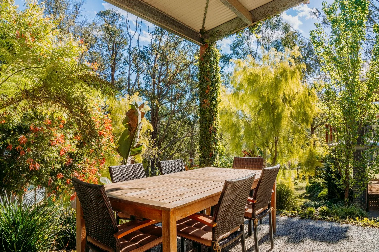 An outdoor table and chairs among the trees.