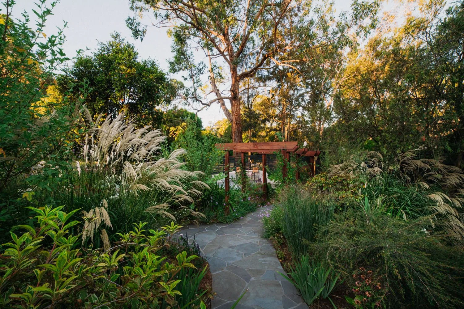 A planted garden path beneath tall grasses in Heathmont.