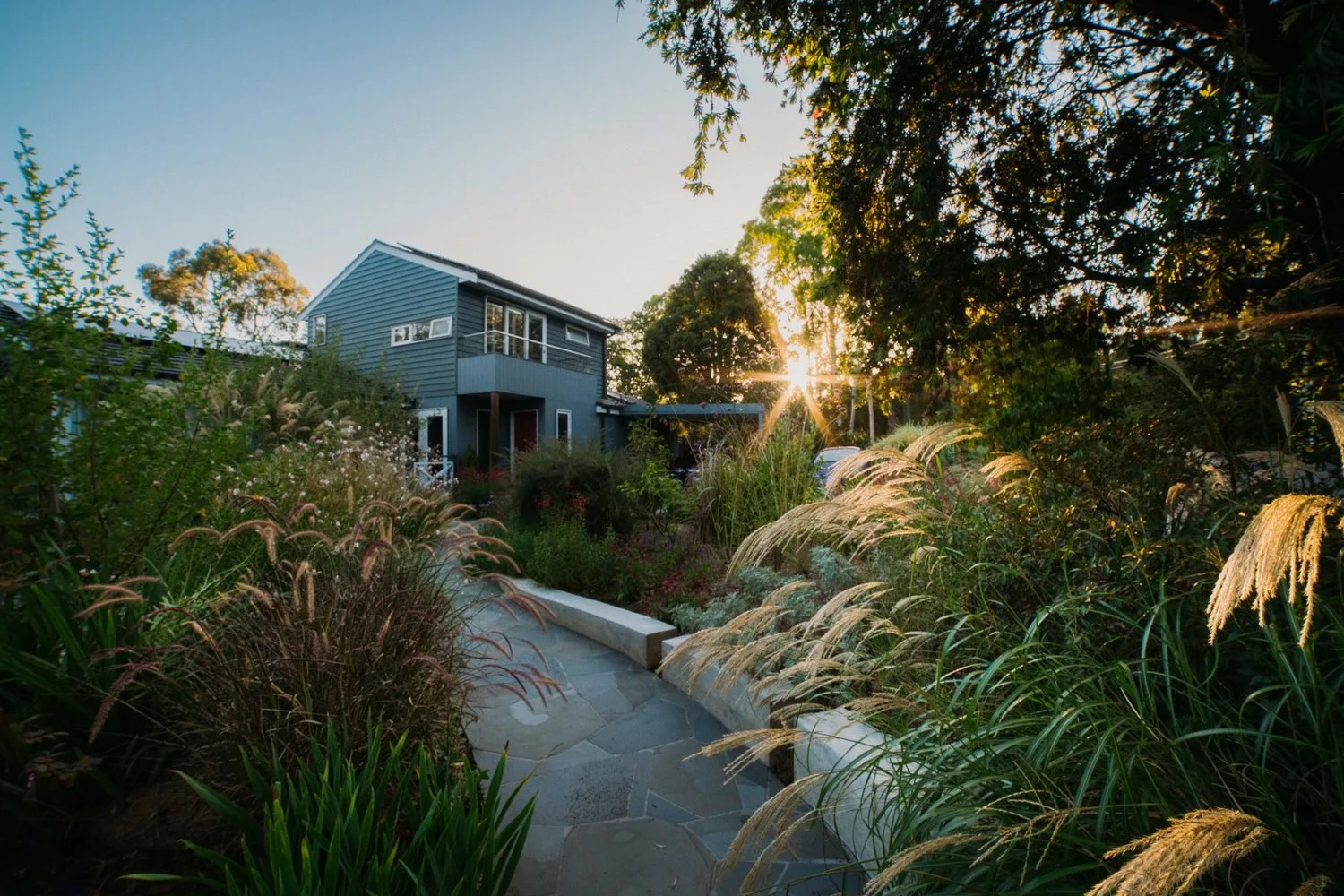 Late light catches planting beside the house.