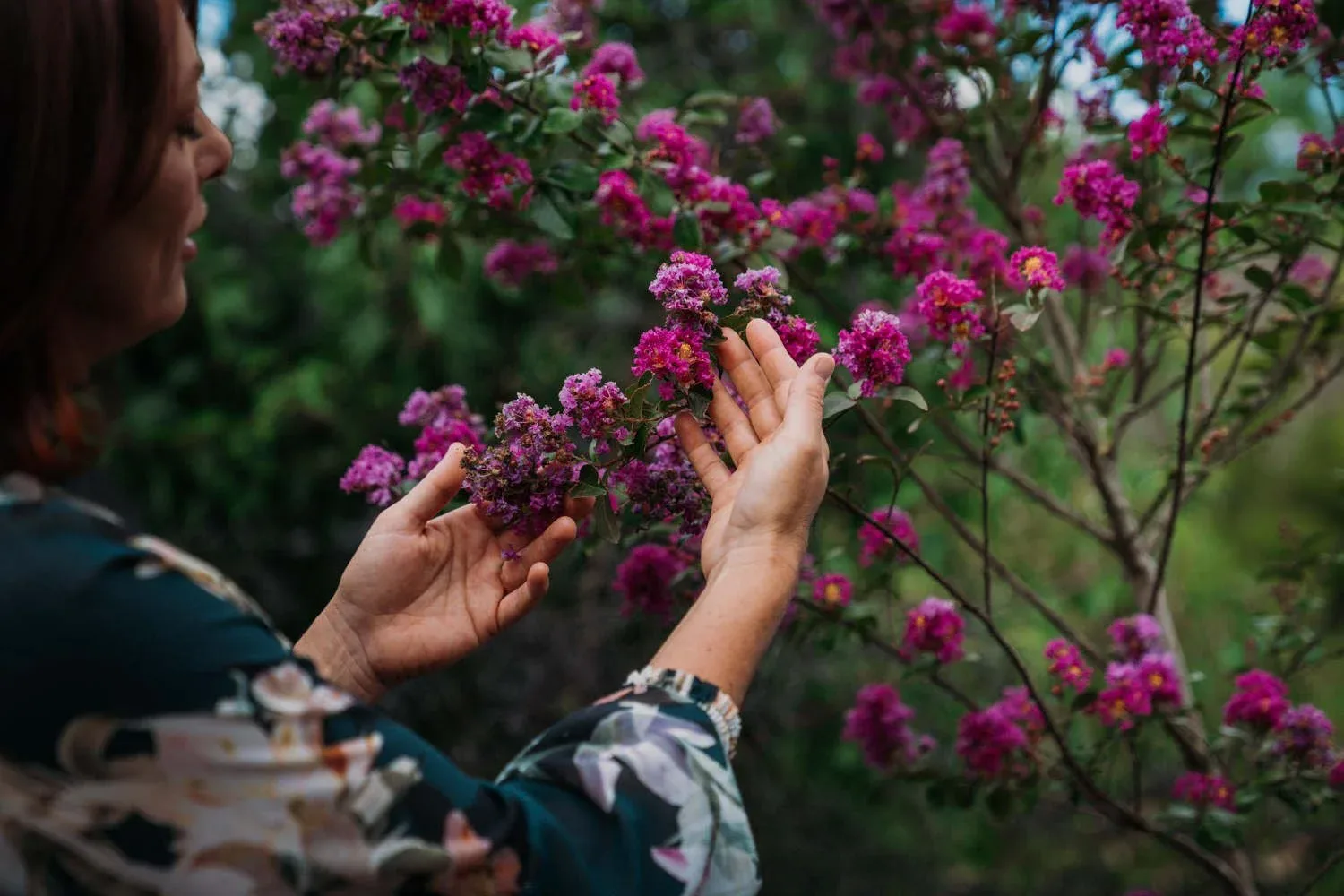 A person examining small purple flowers.